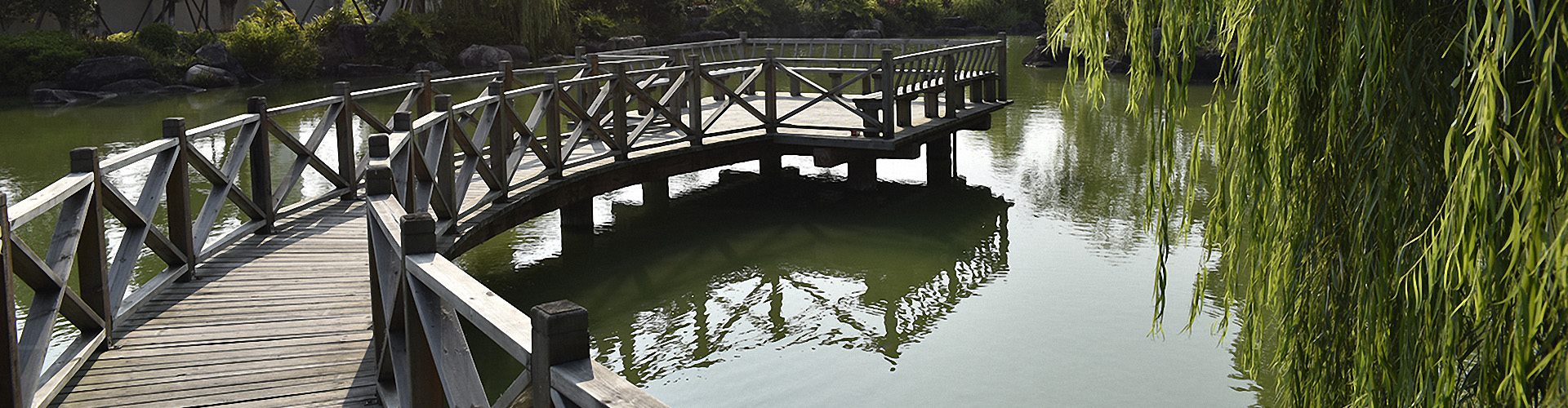 2025新澳门免费原料论坛