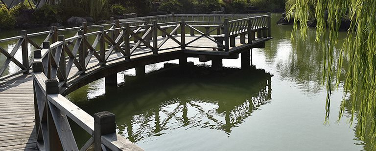 2025新澳门免费原料论坛