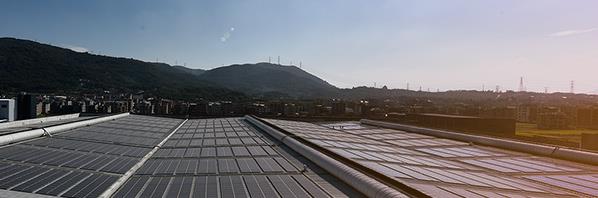 2025新澳门免费原料论坛